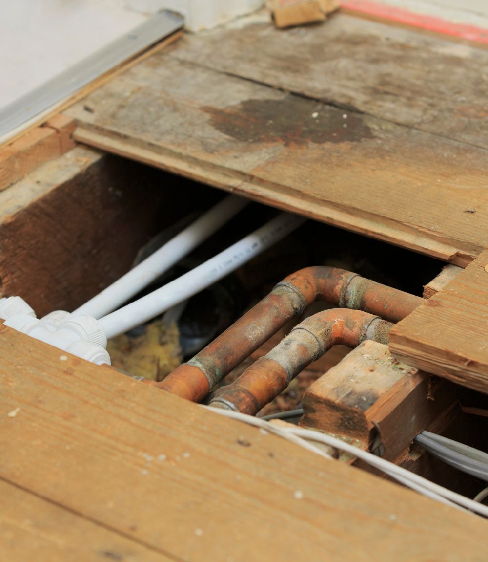 Providing water damage. mould remediation and plumbing services across South East Queensland.